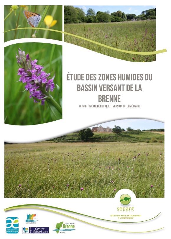 vignette rapport ZH Brenne Sepant