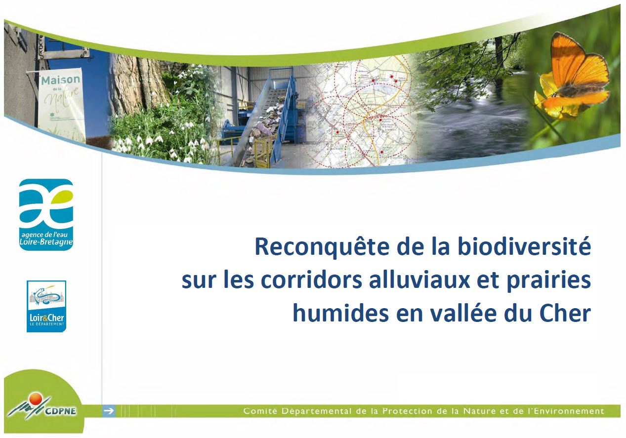 vignette rapport corridors alluviaux prairies humides Cher CDPNE